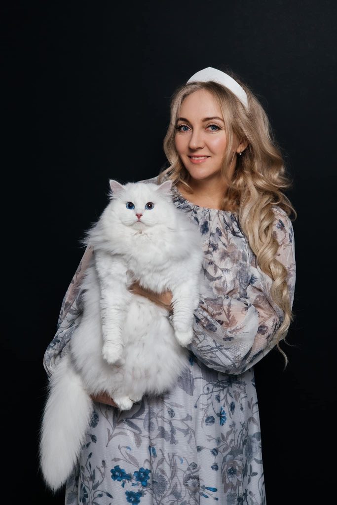 Siberian Kitten for Sale