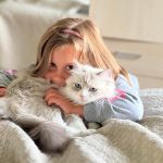 Siberian Kitten for Sale