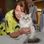 Siberian Cat Lifespan