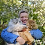 Siberian Kitten for Sale