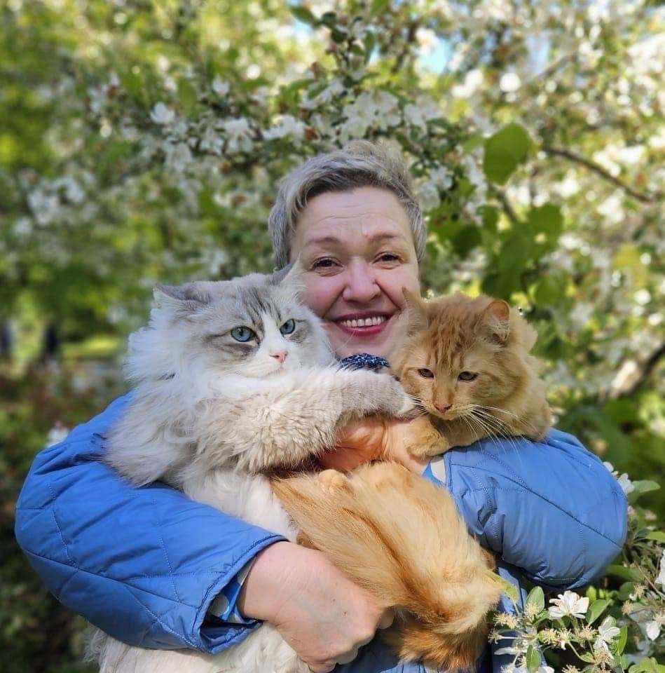 Siberian Kitten for Sale