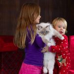 Do Siberian Cat Smell