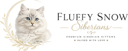 Siberian Kittens for Sale